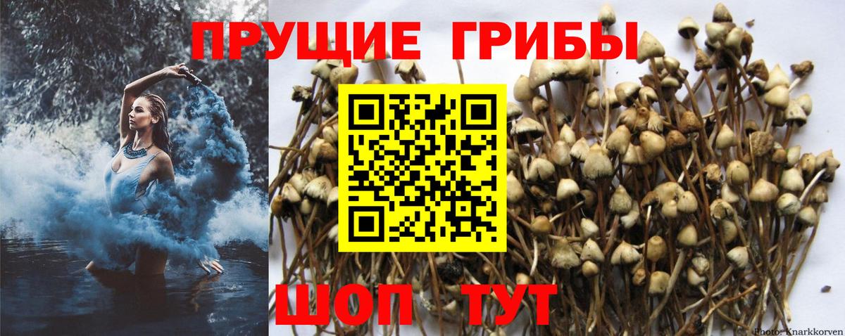 Псилоцибиновые грибы Magic Shrooms Ижевск